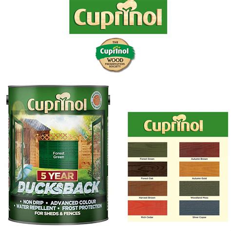 cuprinol 5 year ducksback paint.